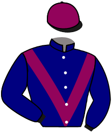 casaque portée par Trullier T. jockey du cheval de course IRONICO, information pmu ZETURF