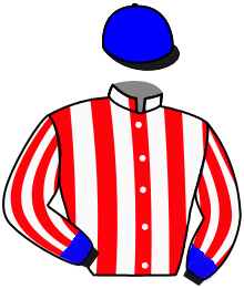 casaque portée par Boutin Hug. jockey du cheval de course OAXACA, information pmu ZETURF