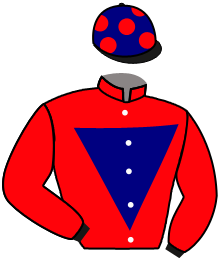 casaque portée par Pasquier S. jockey du cheval de course NAVASSA ISLAND, information pmu ZETURF