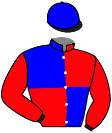casaque portée par Valle Skar Mlle F. jockey du cheval de course WAR BRIDE, information pmu ZETURF