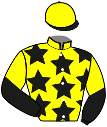 casaque portée par Blot Mme M. jockey du cheval de course JONGLEUSE ALTO, information pmu ZETURF