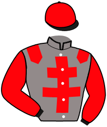 casaque portée par Chaineux Jea. M. jockey du cheval de course LIFOU IRIS'EYES, information pmu ZETURF