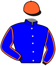 casaque portée par Ouvrie F. jockey du cheval de course MAGNOLIA DES ARRIS, information pmu ZETURF