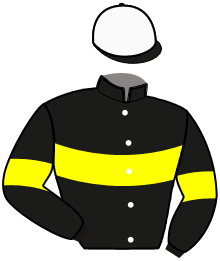 casaque portée par Martens C. jockey du cheval de course MAXIM D'HERTALS, information pmu ZETURF