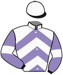 casaque portée par Veldman Jim jockey du cheval de course NASHIRA, information pmu ZETURF