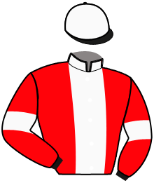 casaque portée par Perret R. F. jockey du cheval de course GIN KAS, information pmu ZETURF