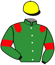 casaque portée par Busnel K. jockey du cheval de course JIMIR DE GUEZ, information pmu ZETURF