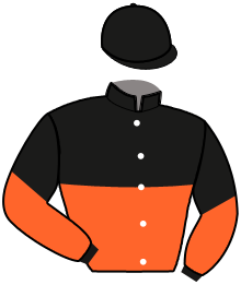 casaque portée par Peltier F. J. jockey du cheval de course JOB DE CORDAY, information pmu ZETURF