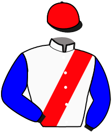 casaque portée par Stefano S. jockey du cheval de course LIGHTNING RIVER, information pmu ZETURF