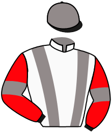 casaque portée par Nicoleau J. jockey du cheval de course RENCONTRE SPORTIVE, information pmu ZETURF
