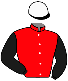 casaque portée par Velon Mlle M. jockey du cheval de course TORRONE, information pmu ZETURF casaque portée par Velon Mlle M. jockey du cheval de course TORRONE, information pmu ZETURF