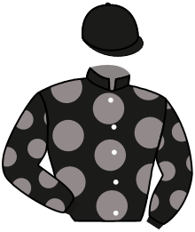 casaque portée par Pasquier S. jockey du cheval de course MOST GLAMOROUS, information pmu ZETURF casaque portée par Pasquier S. jockey du cheval de course MOST GLAMOROUS, information pmu ZETURF