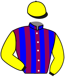 casaque portée par Seidl M. jockey du cheval de course PEPPER SNOW, information pmu ZETURF casaque portée par Seidl M. jockey du cheval de course PEPPER SNOW, information pmu ZETURF