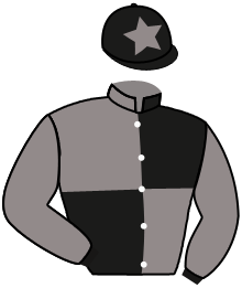 casaque portée par Lebouc Hug. jockey du cheval de course LUFFY, information pmu ZETURF casaque portée par Lebouc Hug. jockey du cheval de course LUFFY, information pmu ZETURF