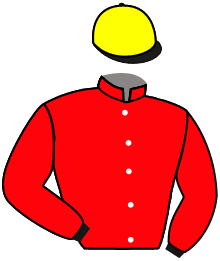 casaque portée par Zuliani A. jockey du cheval de course MAGIC TRILLION, information pmu ZETURF casaque portée par Zuliani A. jockey du cheval de course MAGIC TRILLION, information pmu ZETURF