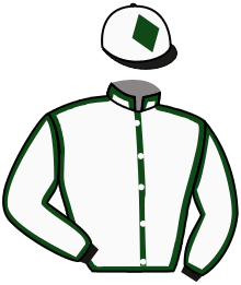 casaque portée par Ferreira N. jockey du cheval de course MISS DES PLACES, information pmu ZETURF casaque portée par Ferreira N. jockey du cheval de course MISS DES PLACES, information pmu ZETURF