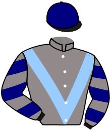 casaque portée par Zuliani A. jockey du cheval de course BANDJO, information pmu ZETURF casaque portée par Zuliani A. jockey du cheval de course BANDJO, information pmu ZETURF