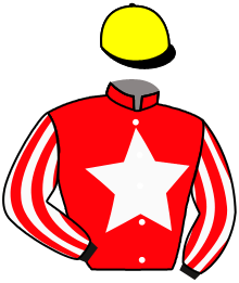 casaque portée par Andrieux T. jockey du cheval de course SON ON FIRE, information pmu ZETURF