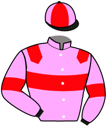 casaque portée par Ploquin Pau. Ph. jockey du cheval de course JEWEL DE BANVILLE, information pmu ZETURF