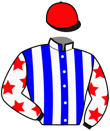 casaque portée par Rochard B. jockey du cheval de course KATINA DE TOUSSAC, information pmu ZETURF