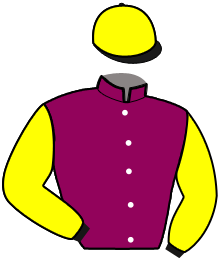 casaque portée par Lamy A. jockey du cheval de course KANTA EMJI, information pmu ZETURF
