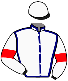 casaque portée par Meury G. jockey du cheval de course SPRINGSTEEL, information pmu ZETURF casaque portée par Meury G. jockey du cheval de course SPRINGSTEEL, information pmu ZETURF
