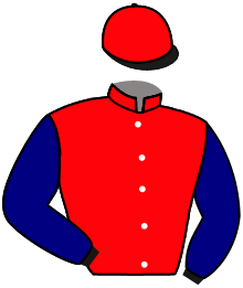casaque portée par Besnier H. jockey du cheval de course LE DOC, information pmu ZETURF