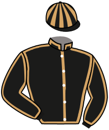 casaque portée par Legras G. jockey du cheval de course MERCI ELIE, information pmu ZETURF casaque portée par Legras G. jockey du cheval de course MERCI ELIE, information pmu ZETURF