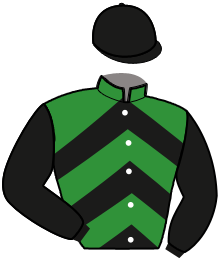 casaque portée par Pacha N. jockey du cheval de course HEROS NUEVO, information pmu ZETURF