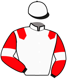 casaque portée par Daougabel Q. jockey du cheval de course JACQUIE DU GARDEN, information pmu ZETURF
