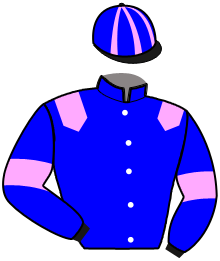 casaque portée par Henry Mme Lan. jockey du cheval de course LEAKY BLINDERS, information pmu ZETURF