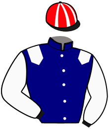 casaque portée par Asselie J. jockey du cheval de course MADAGASCAR YAMM, information pmu ZETURF