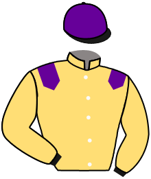 casaque portée par Baudet N. jockey du cheval de course GENTLE BEAR, information pmu ZETURF