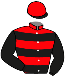casaque portée par Favriaux Mal. jockey du cheval de course REMENBER CHOPE, information pmu ZETURF casaque portée par Favriaux Mal. jockey du cheval de course REMENBER CHOPE, information pmu ZETURF