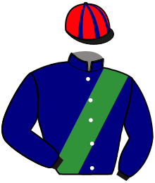 casaque portée par Jublot L. jockey du cheval de course MILLONGA VRIE, information pmu ZETURF casaque portée par Jublot L. jockey du cheval de course MILLONGA VRIE, information pmu ZETURF