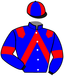 casaque portée par Viel Mar. jockey du cheval de course MERVEILLE DESTINEE, information pmu ZETURF casaque portée par Viel Mar. jockey du cheval de course MERVEILLE DESTINEE, information pmu ZETURF