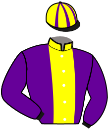 casaque portée par Mlle Lepage A. jockey du cheval de course MARSOUILLE, information pmu ZETURF casaque portée par Mlle Lepage A. jockey du cheval de course MARSOUILLE, information pmu ZETURF