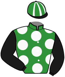 casaque portée par Pasquier S. E. jockey du cheval de course MADISON HUB, information pmu ZETURF casaque portée par Pasquier S. E. jockey du cheval de course MADISON HUB, information pmu ZETURF