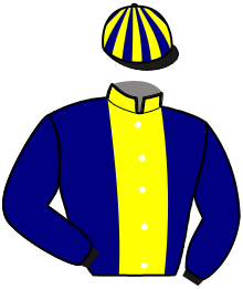 casaque portée par Guinhut F. jockey du cheval de course MAJESTE DE ZIETTE, information pmu ZETURF casaque portée par Guinhut F. jockey du cheval de course MAJESTE DE ZIETTE, information pmu ZETURF