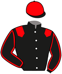 casaque portée par Permentier Y. jockey du cheval de course LEADER D'ANGELY, information pmu ZETURF casaque portée par Permentier Y. jockey du cheval de course LEADER D'ANGELY, information pmu ZETURF