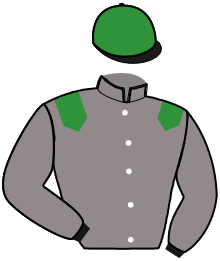 casaque portée par Gougeon S. jockey du cheval de course MILANO NELLIERE, information pmu ZETURF casaque portée par Gougeon S. jockey du cheval de course MILANO NELLIERE, information pmu ZETURF
