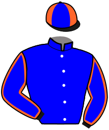 casaque portée par Mary Ch. A. jockey du cheval de course KEEPER BAY, information pmu ZETURF casaque portée par Mary Ch. A. jockey du cheval de course KEEPER BAY, information pmu ZETURF
