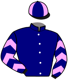 casaque portée par Demota Max. jockey du cheval de course IBIZA DE MARZY, information pmu ZETURF casaque portée par Demota Max. jockey du cheval de course IBIZA DE MARZY, information pmu ZETURF