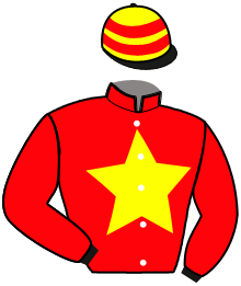casaque portée par Martin Th. jockey du cheval de course GOLD DE LA COUDRE, information pmu ZETURF casaque portée par Martin Th. jockey du cheval de course GOLD DE LA COUDRE, information pmu ZETURF