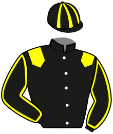 casaque portée par Thomain D. jockey du cheval de course LET'S GO VAL, information pmu ZETURF casaque portée par Thomain D. jockey du cheval de course LET'S GO VAL, information pmu ZETURF