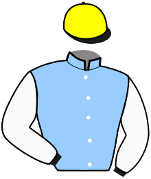 casaque portée par Gelormini G. jockey du cheval de course LUCKY PORT, information pmu ZETURF casaque portée par Gelormini G. jockey du cheval de course LUCKY PORT, information pmu ZETURF