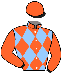 casaque portée par Verva M. jockey du cheval de course MENTHE FRAICHE, information pmu ZETURF