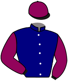 casaque portée par Le Lay Martin Adr. jockey du cheval de course PADDINGTON, information pmu ZETURF casaque portée par Le Lay Martin Adr. jockey du cheval de course PADDINGTON, information pmu ZETURF