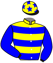 casaque portée par Bazire P. jockey du cheval de course RASHEED, information pmu ZETURF casaque portée par Bazire P. jockey du cheval de course RASHEED, information pmu ZETURF