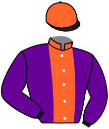 casaque portée par Lemaitre A. jockey du cheval de course BOSIOH, information pmu ZETURF casaque portée par Lemaitre A. jockey du cheval de course BOSIOH, information pmu ZETURF